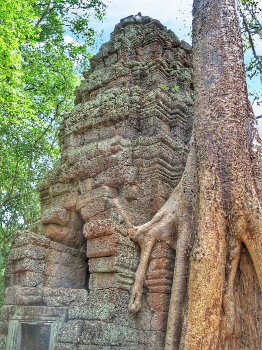 tips before you go Ta Prohm temple