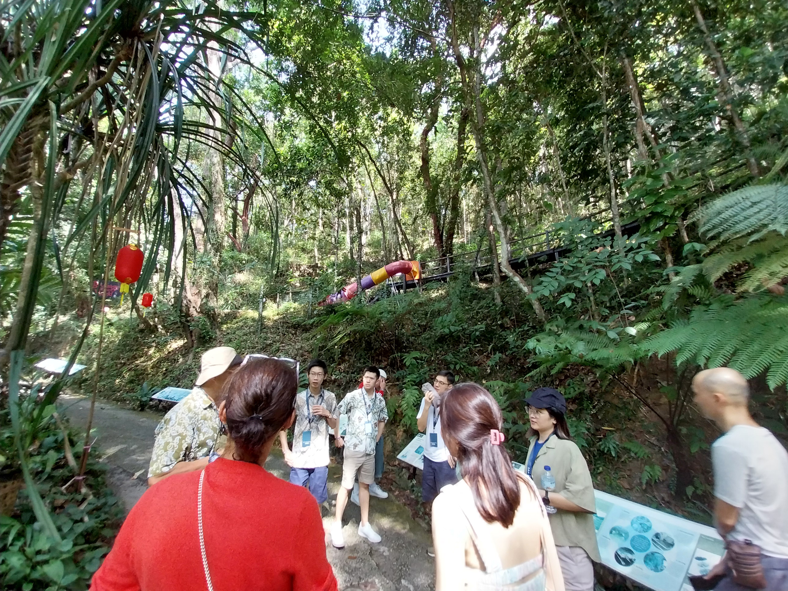 walking tour around the vast forest of Tropical spice garden in Penang